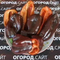 Купить семена Перец Карамель красная
