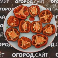 Купить семена Перец сладкий Мини Белл Шоколадный