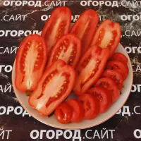 Купить семена Томат Дрова