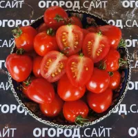 Купить семена Томат Клубничка