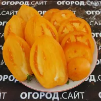 Купить семена Томат Манго джанго
