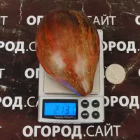 Купить семена Томат Восставший Звездный Истребитель Прайм носатый