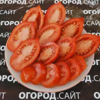 Купить семена Томат Сан марцано нано с носиком