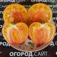 Купить семена томат Загадка природы