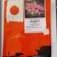 Купить семена томат AB 530 F1