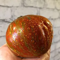 Купить семена Томат Беркли тай дай хаат (Berkeley tie dye heart)