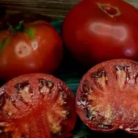 Купить семена Томат Черная Магия