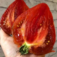 Купить семена Томат Черное Сердце От Борисовны