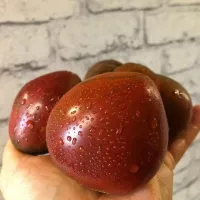 Купить семена Томат Черное сердце Бреда