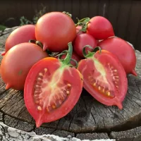 Купить семена Томат Де барао царский