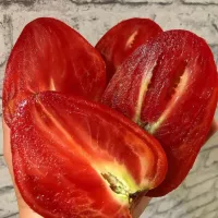 Купить семена Томат Дедушкино петушинное перышко