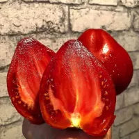 Купить семена Томат Девичьи слёзы