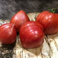 Купить семена Томат Дробленое сердце