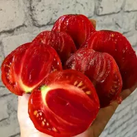 Купить семена Томата Гном Алое сердце (Scarlet heart) коллекционный
