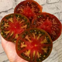 Купить семена Томат Гном металлика