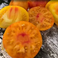 Купить семена Томат Гном Русский вихрь