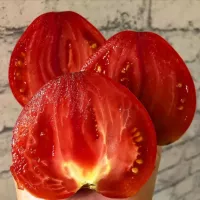 Купить семена  Томат Говядина с куста