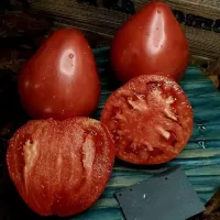 Купить семена  Томат Говядина с куста