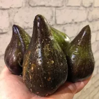 Купить семена томата Изумрудная Парча