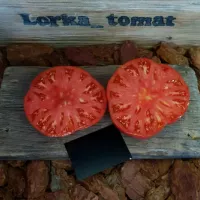 Томат Кишиневский Томат Кишиневский