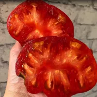 Купить семена Томат Колхозная королева