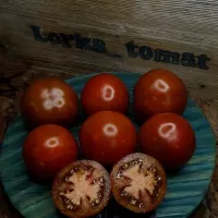 Купить семена Томат Кубинский фиолетовый