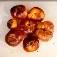 Купить семена Томат Мечта Алисы