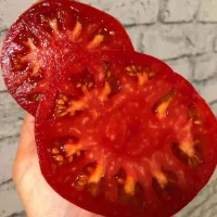 Купить семена Томат Минусинский урожайный