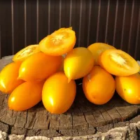 Купить семена Томат Нежность желтая