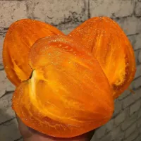 Купить семена Томат Ночная свеча