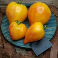 Купить семена Томат Помаранч