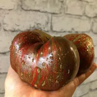 Купить семена Томат Пурпурный сердцеед