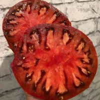 Купить семена Томат Секрет Алифирова
