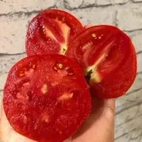 Купить семена Томат Сердце Италии