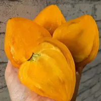 Купить семена Томат Сердце Любы