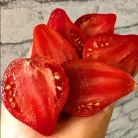 Купить семена Томат Северная корона