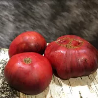 Купить семена Томат Сибирский тигр