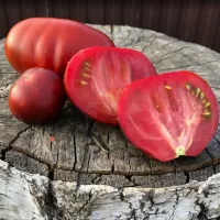 Купить семена Томат Синяя Груша (Blue Pear)