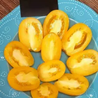 Купить семена Томат Сливка Бендрика желтая