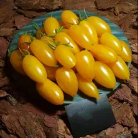 Купить семена Томат Стыдливый румянец