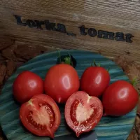 Купить семена Томат Сызранская лиана
