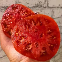 Купить семена Томат Сызранская розовая ранняя помидора