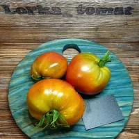 Купить семена Томат Тайга
