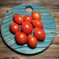 Купить семена Томат Весенняя Капель
