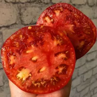 Купить семена томата Властелин Минусинский