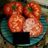 Купить семена Томат Воловье сердце