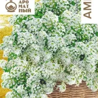 Купить семена Алиссум ампельный Белая волна Кристалл