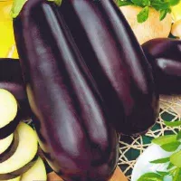 Купить семена Баклажан Эфиоп