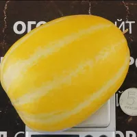 Купить семена Дыня Корейская Шамое (Chamoe)
