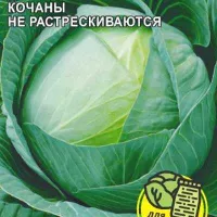 Купить семена капусту Подарок